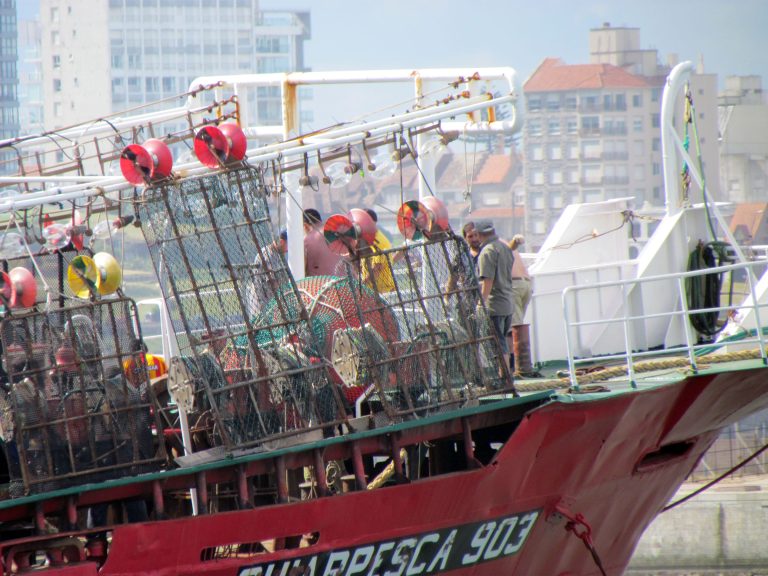 Se confirm贸 el inicio anticipado de la pr贸xima temporada de calamar