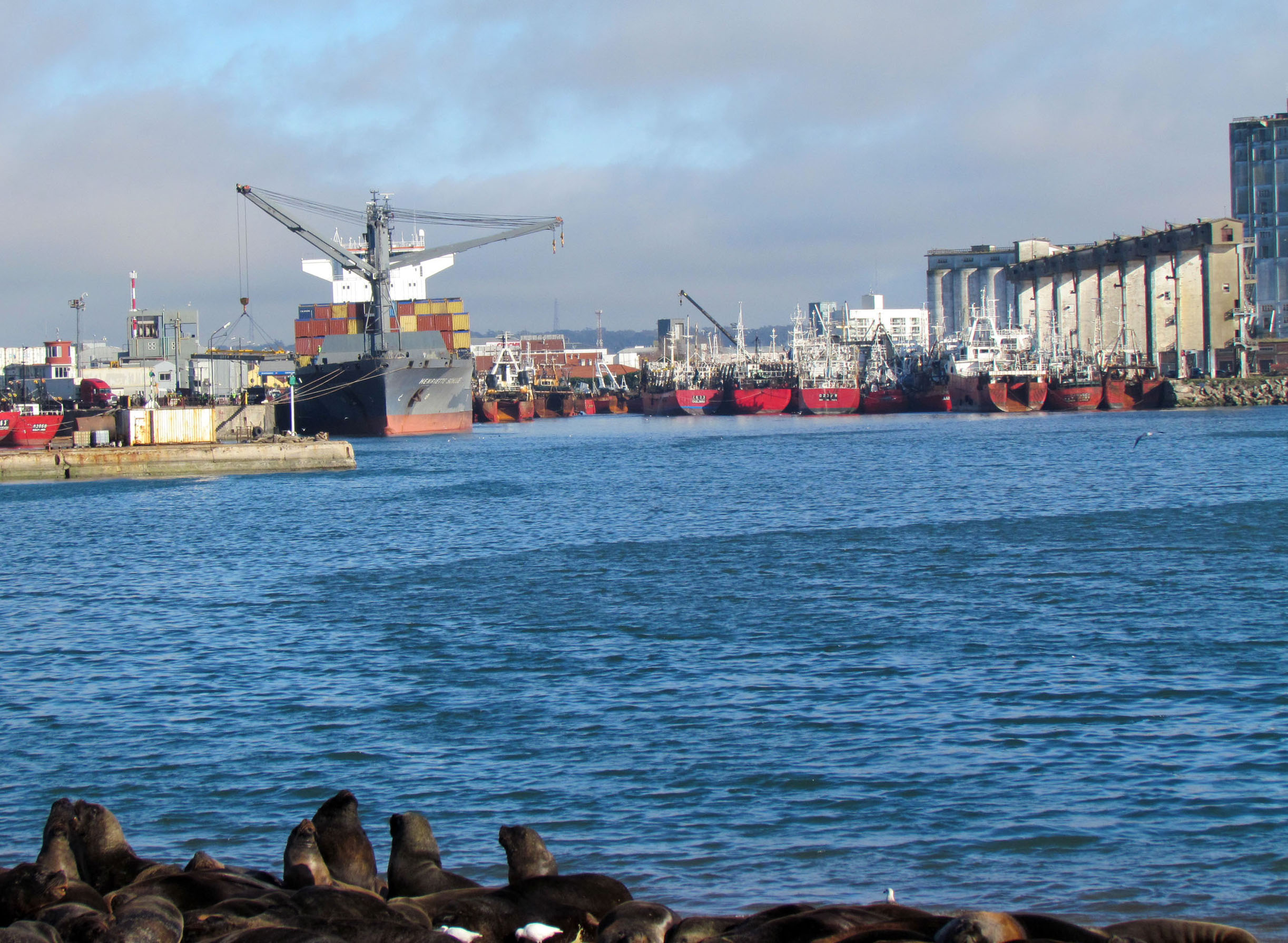 Regresó el portacontenedores al puerto local