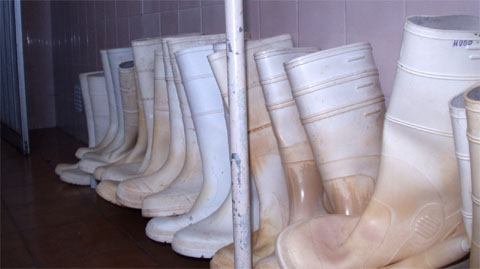 Armadores y Caipa repudian actitudes violentas en el marco de un conflicto laboral