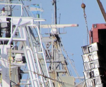 Mar del Plata concentr贸 el 56 por ciento de las descargas durante 2016