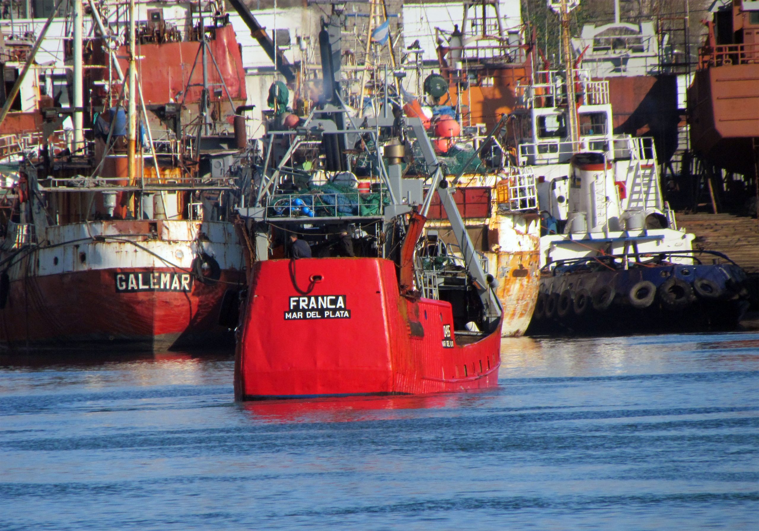 Caballa: las primeras mil toneladas de la temporada