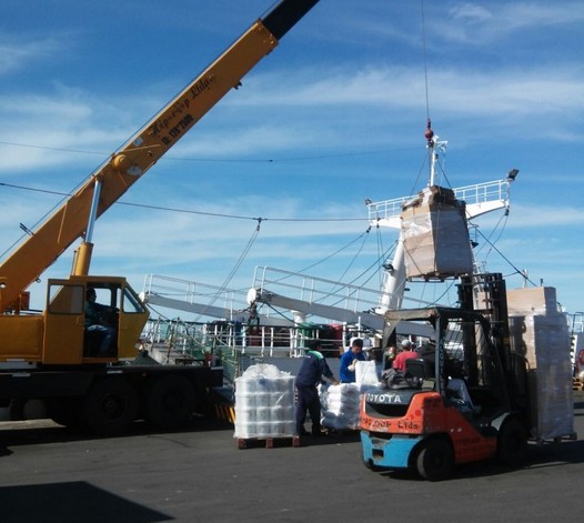 Langostino y calamar también deberán contar con certificado de captura legal