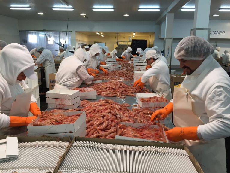 Armadores fresqueros piden un marco de igualdad ante el cierre progresivo de langostino