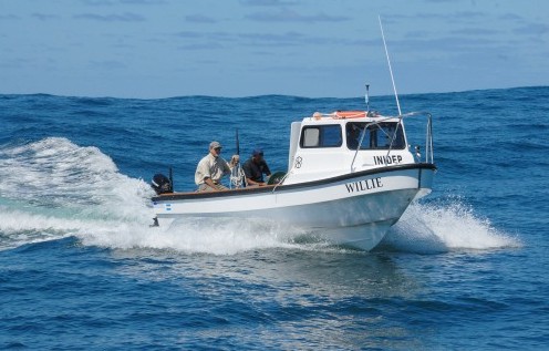 El Inidep evaluará el langostino en la costa bonaerense