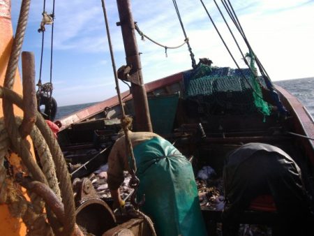 Cartilaginosos: Provincia adhiere a veda fijada en la Zona Común de Pesca