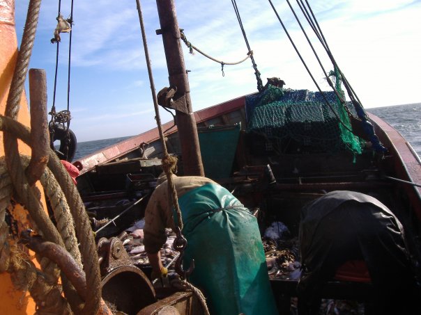 Cartilaginosos: Provincia adhiere a veda fijada en la Zona Común de Pesca