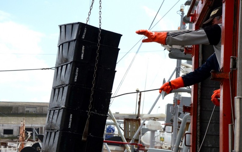 Observadores para condrictios y negativa a modificar velocidad admitida en veda
