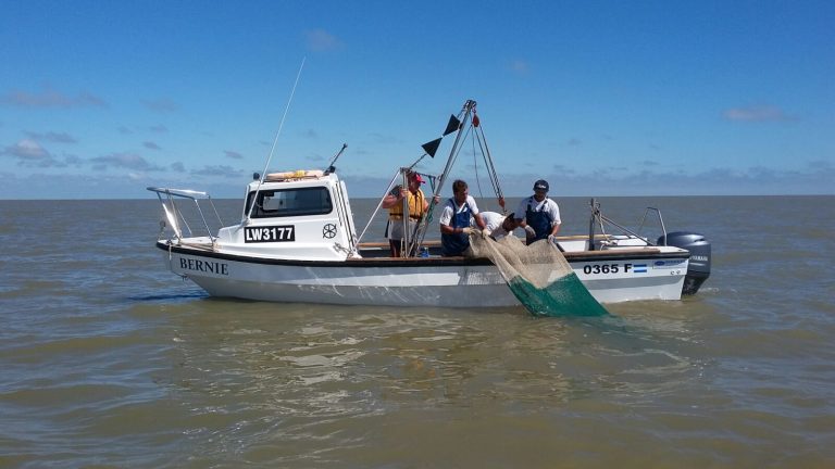 Sondeando la corvina en Bahía de Samborombón