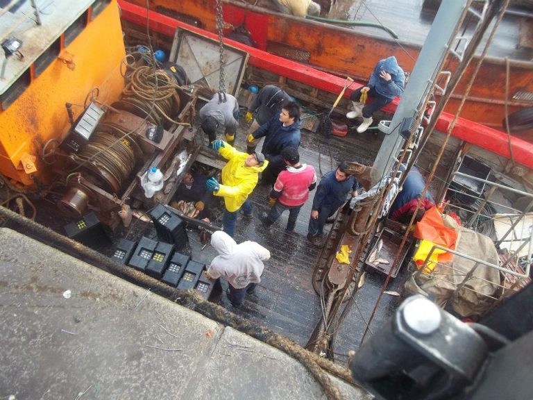 Nuevo recorte sobre la captura máxima de corvina