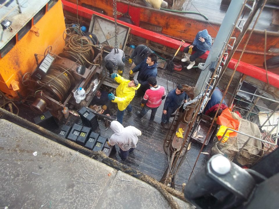 Di Leva comenzó a trabajar como Director de Pesca bonaerense