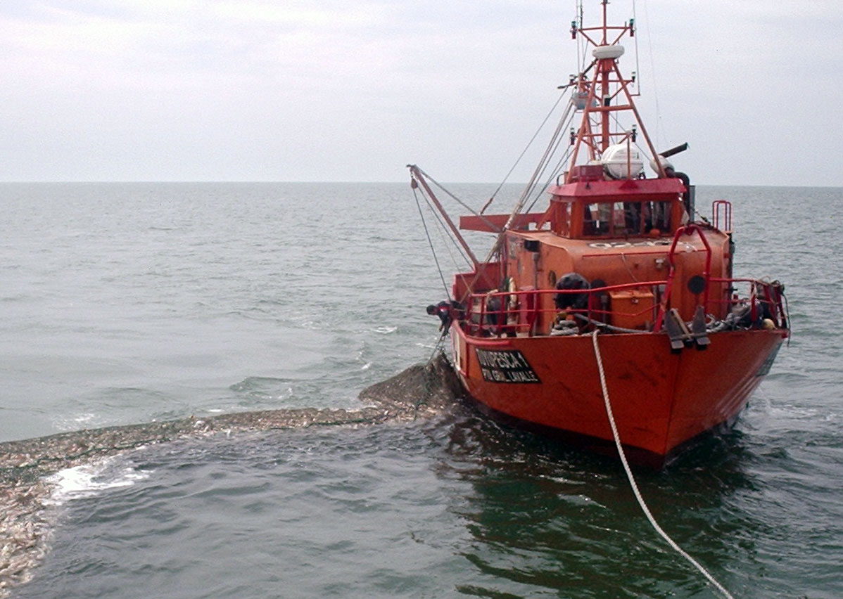 Excluyen a embarcaciones de General Lavalle y San Clemente de veda para cartilaginosos