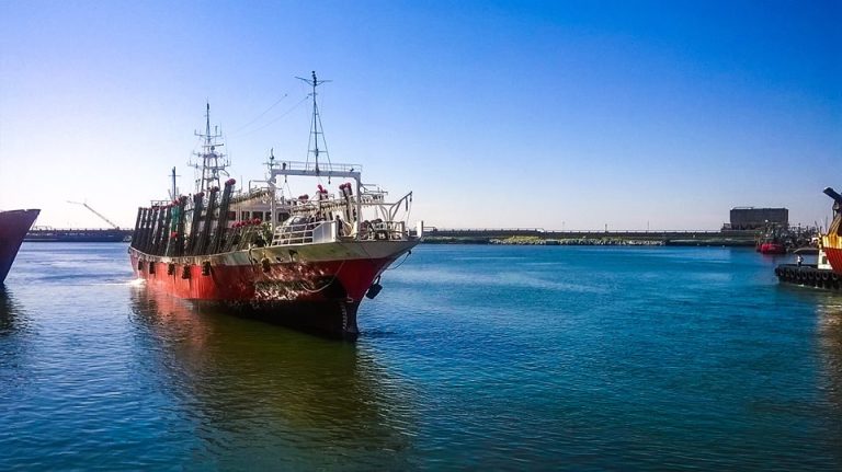 Comenzaron a llegar poteros tras cerrar la primera marea