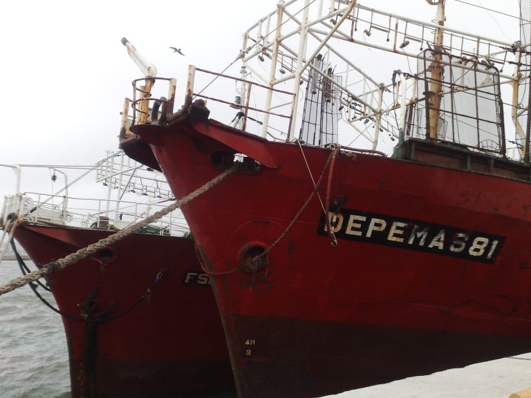Buques inactivos: Prefectura intima para la remoción del “Depemas 81â€