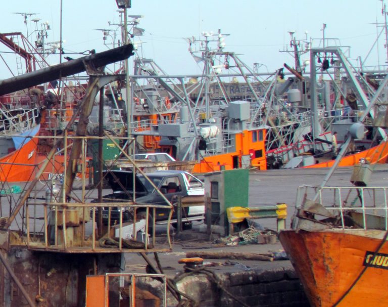Buques costeros parados por cortocircuito con la Subsecretaría de Pesca