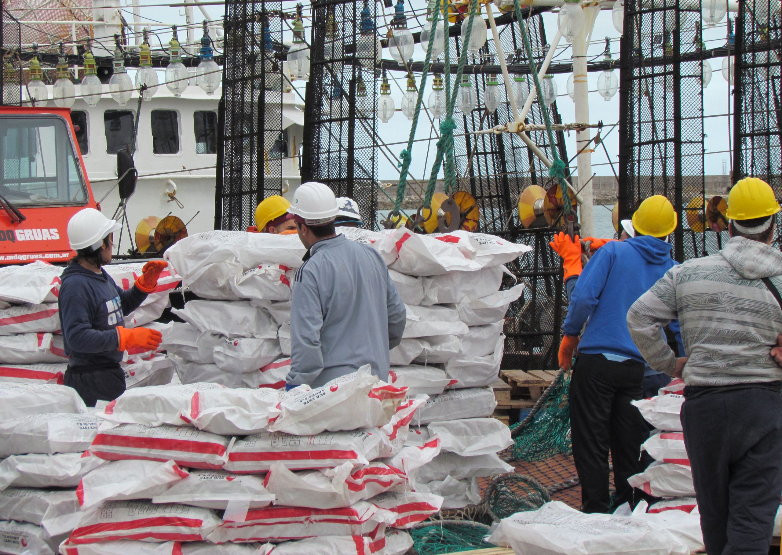 Renovarán incentivos para que la flota potera descargue en Mar del Plata