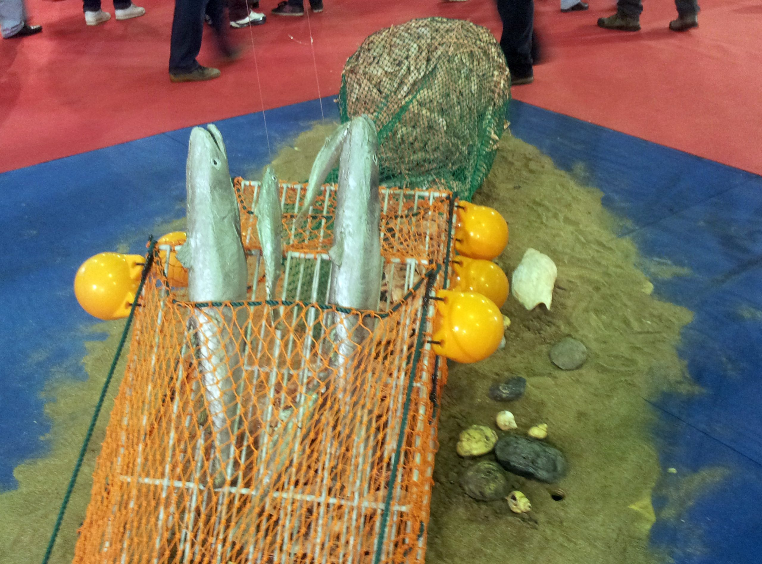 Langostino: Capitanes apoya la suspensión de artefactos selectivos