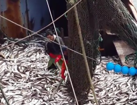 Consejo Federal Pesquero. Sesi贸n semanal, Acta Nro. 35/2023. Asignaci贸n de fondos FO.NA.PE.