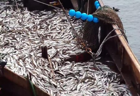 Se reuni贸 la Comisi贸n de Seguimiento de Merluza