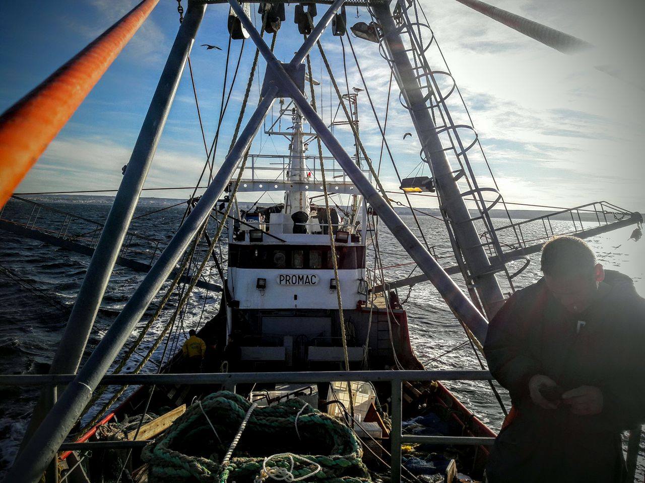 Transcurre otra buena temporada de langostino en aguas nacionales