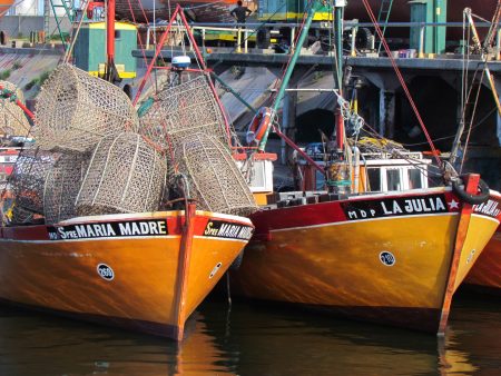 Zona Común de Pesca: determinan captura máxima de besugo y pez palo