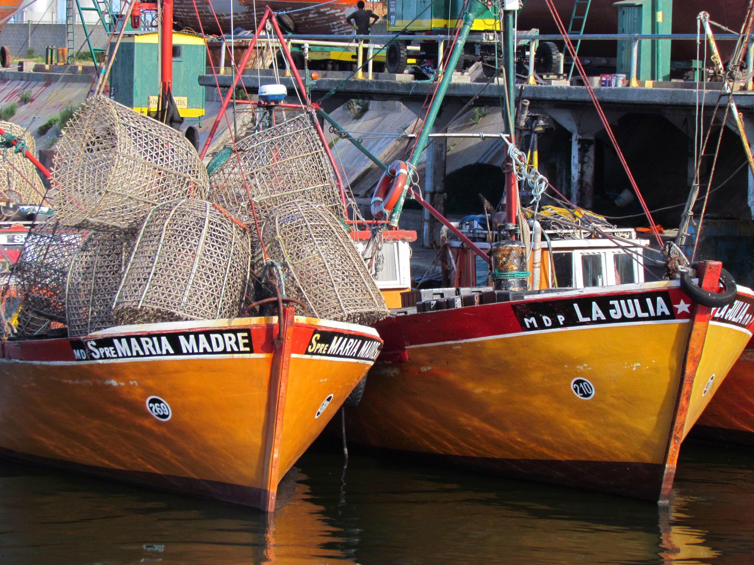 Zona Común de Pesca: determinan captura máxima de besugo y pez palo