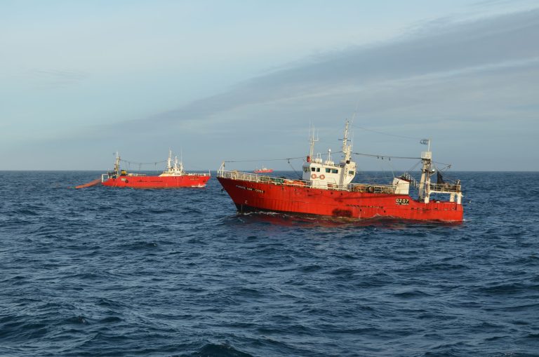 Los tangoneros se desplazan hacia el norte
