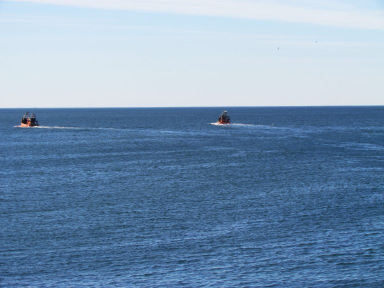 Comienza prospecci贸n de corvina en el R铆o de la Plata