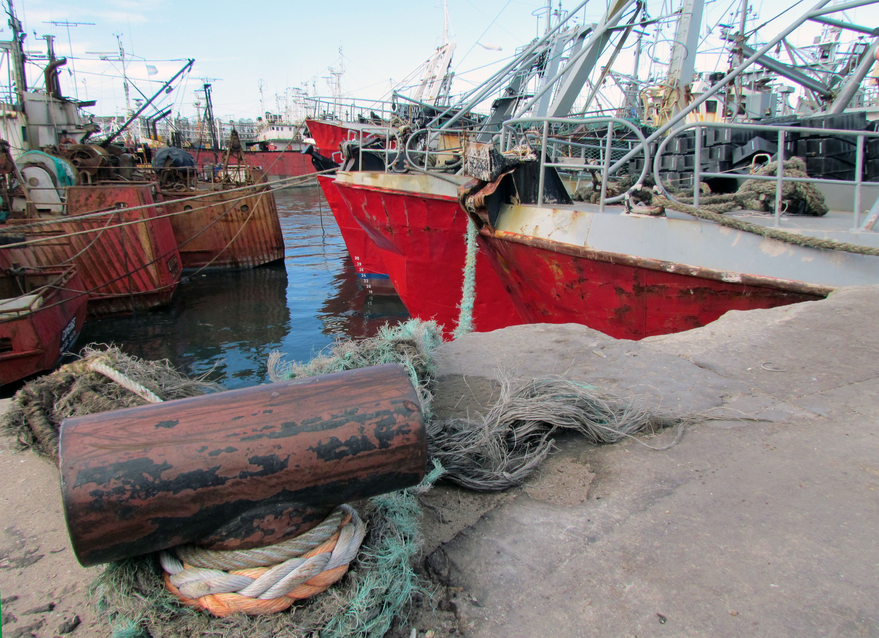 fresqueros_amarrados