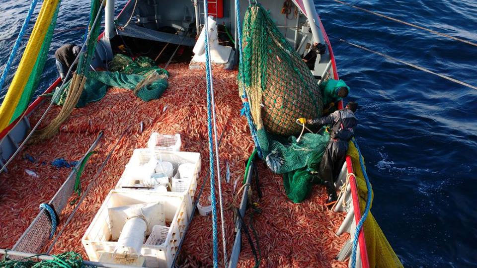 Las prioridades de gestión del nuevo subsecretario de Pesca, Carlos Liberman 2 gurises facundo uribe 2