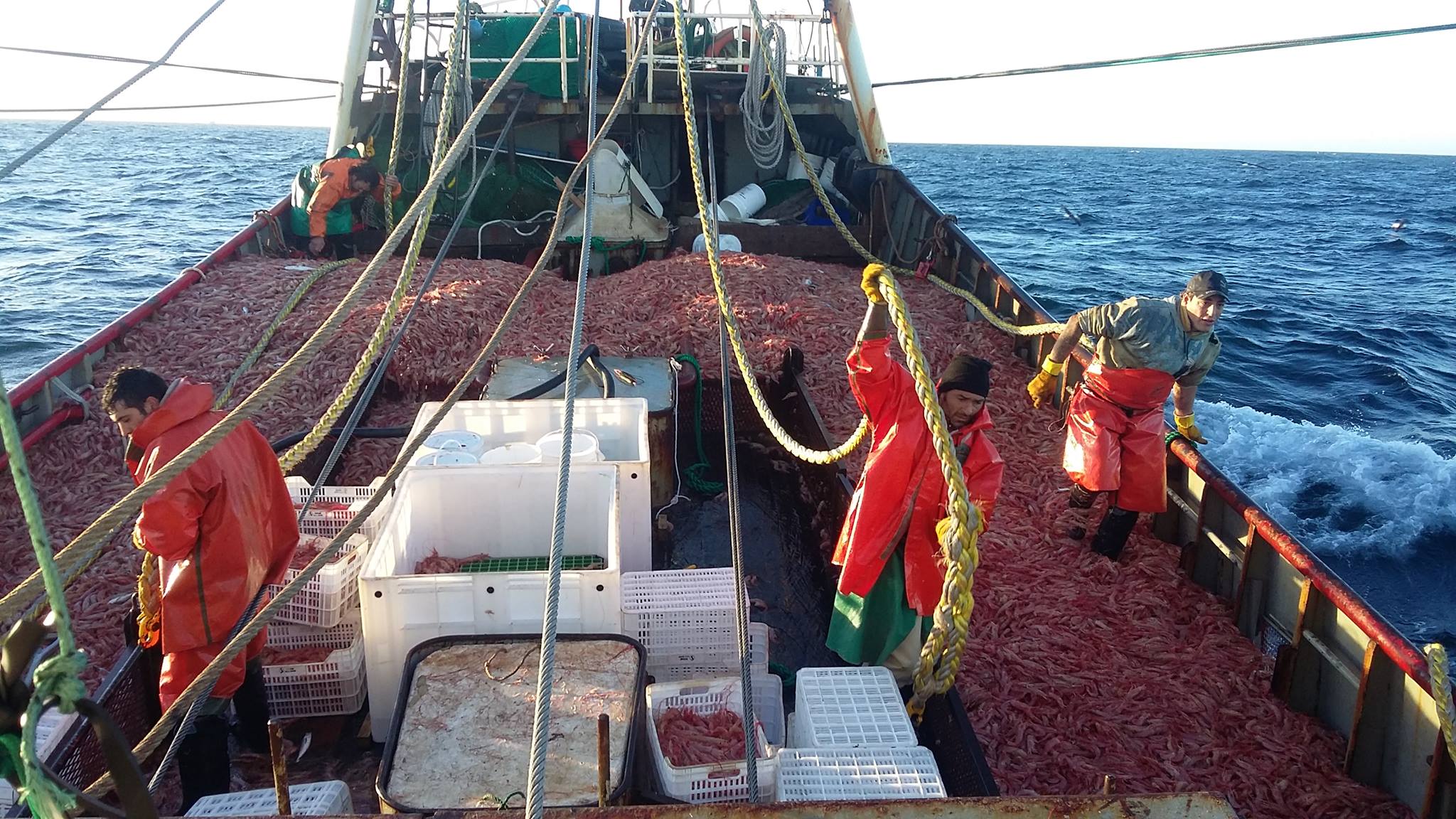 paola_s_jose_quezada