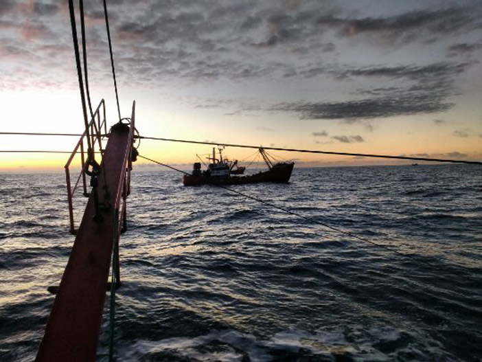 La temporada de langostino en aguas nacionales termina el 31 de octubre