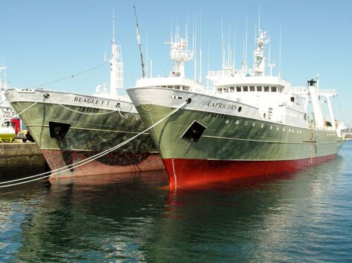 España prohíbe a sus arrastreros operar en ecosistemas sensibles de Malvinas