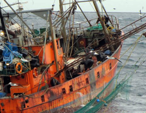 Langostino: el ingreso de buques al AIER rotará sobre la base de sorteos