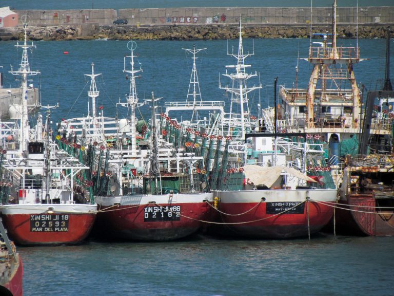 Calamar: cierran Zona Común de Pesca
