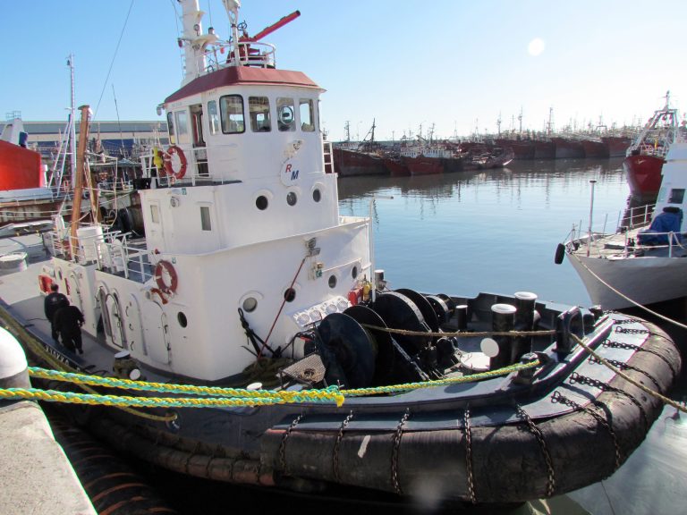 El puerto local cuenta con un nuevo remolcador de mayor potencia