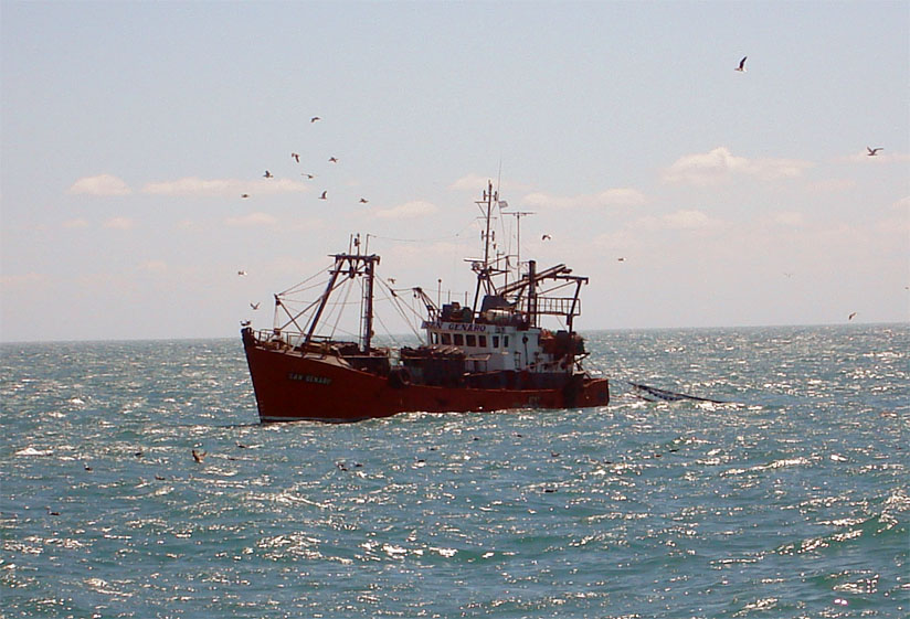 La Provincia autoriza a tres buques para operar sobre anchoíta en la franja costera