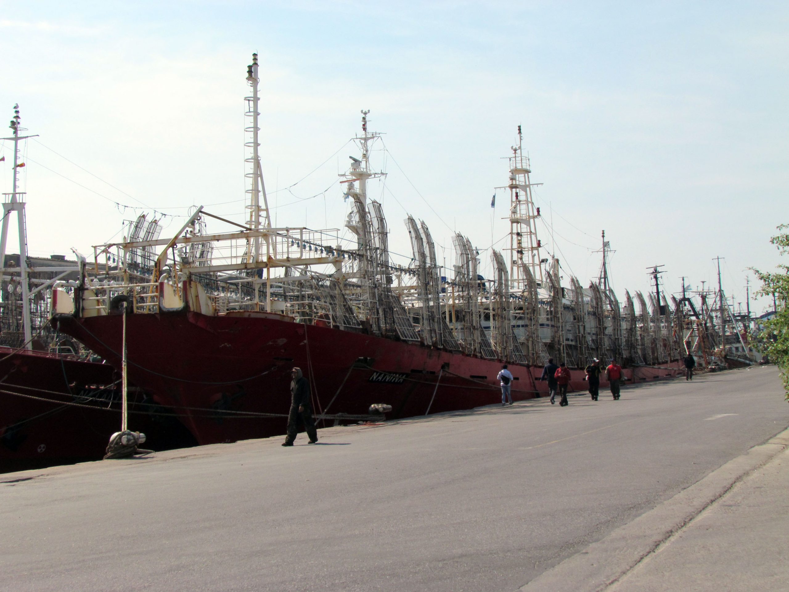 Consideran factible adelantar el inicio de la próxima temporada de calamar