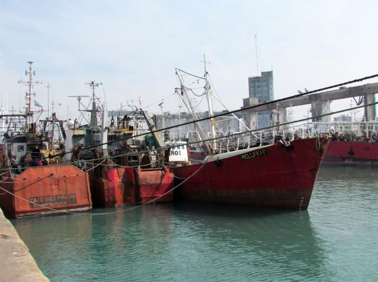 Cautela en el sector ante los anuncios de inversiones en el puerto