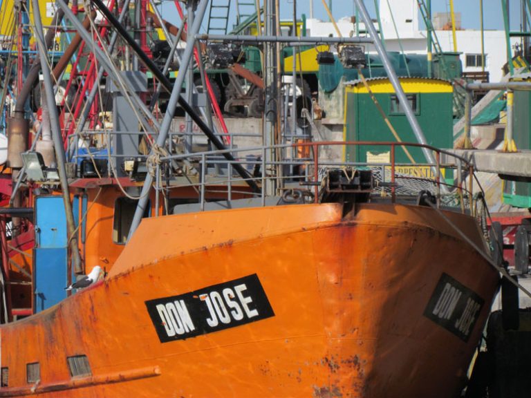 Diez embarcaciones realizarán la temporada de anchoíta desde Necochea
