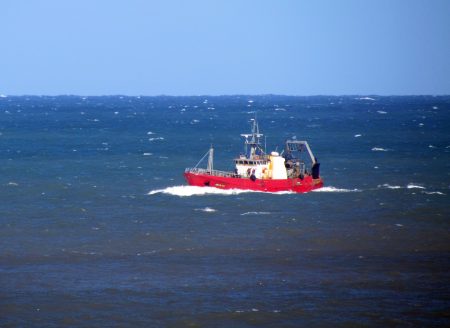 Zona Común de Pesca: fijan captura máxima de merluza y área de veda