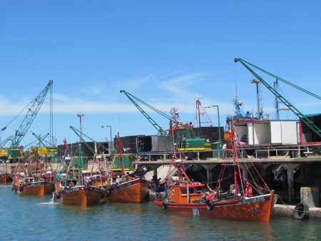 Las lanchas aportan un buen volumen de caballa