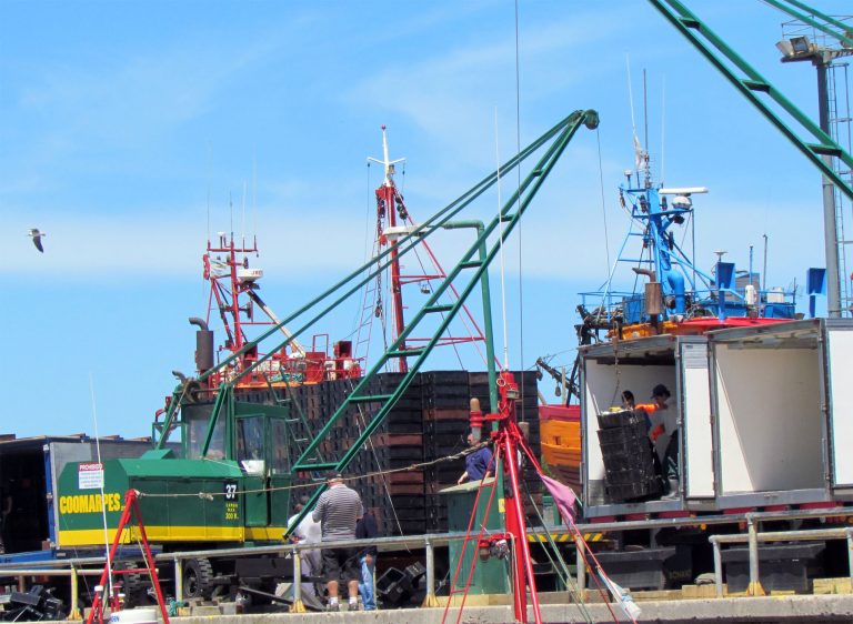 Los desembarques cayeron un 10,5 por ciento