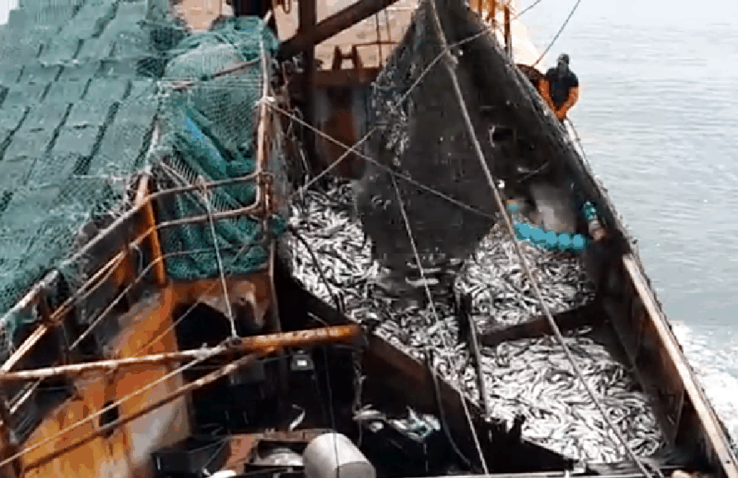 Consejo Federal Pesquero. Sesión semanal, Resolución Nro.2/2024. Disposición transitoria del régimen de CITC