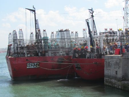 Suspenden despachos para operar sobre calamar al sur del 44掳