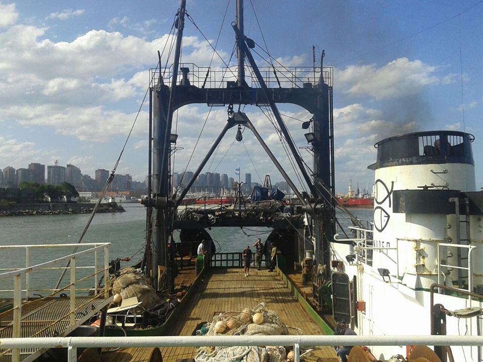 El BIP Dr. Eduardo L. Holmberg comenzó la campaña de evaluación global de merluza común