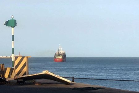 Zona Común de Pesca: fijan apertura de calamar y captura máxima de raya