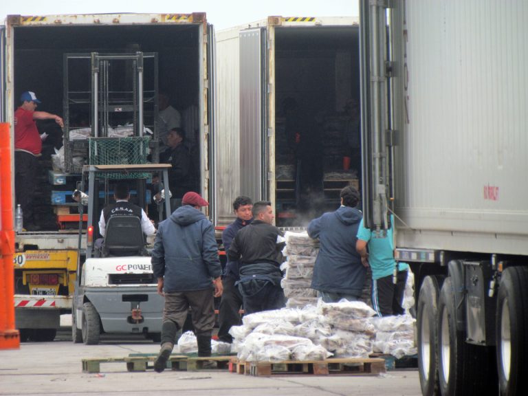 Calamar, con el ingreso de varios poteros, la estiba repunta labores en los muelles