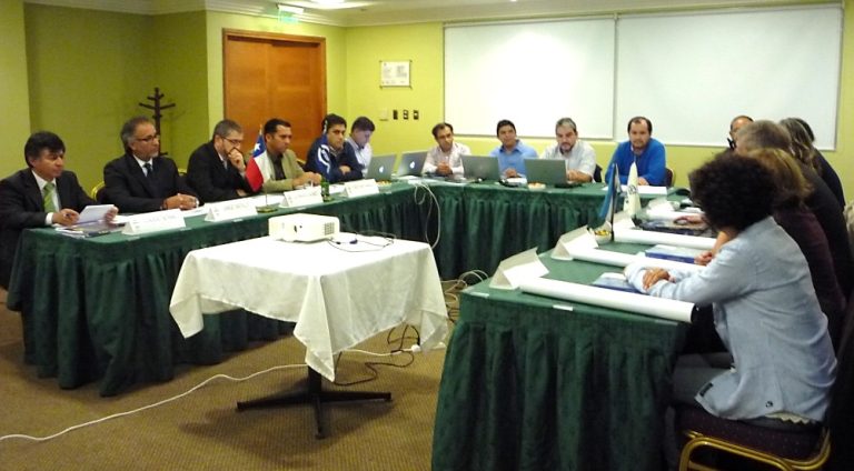 El Consejo fija captura máxima de merluza austral