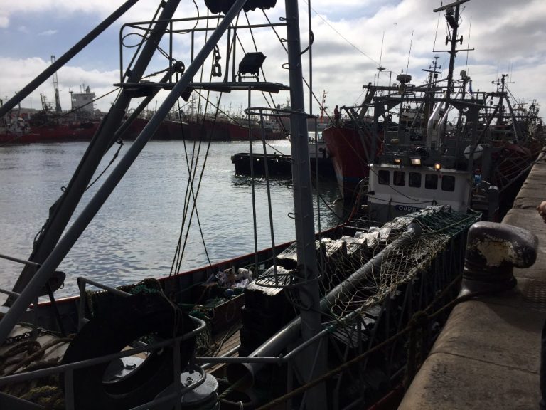 Merluza: fijan veda de otoño en Zona Común de Pesca