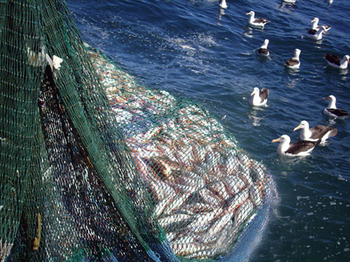 Consejo Federal Pesquero. Sesionó el día jueves, Acta Nro.23/22
